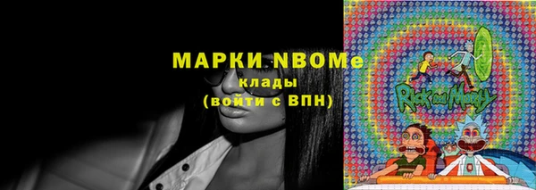 соль ск Пересвет