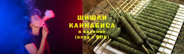 соль ск Пересвет