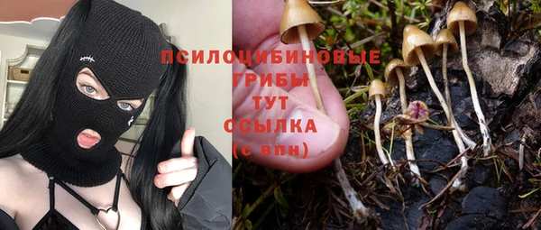 ГАЛЛЮЦИНОГЕННЫЕ ГРИБЫ Переславль-Залесский