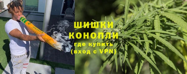 соль ск Пересвет