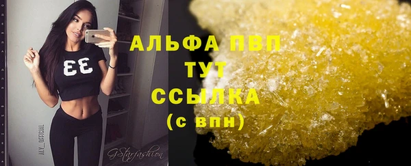 соль ск Пересвет