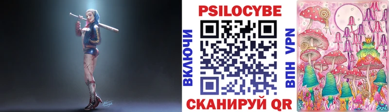 Галлюциногенные грибы Psilocybine cubensis  Купить  Лобня 